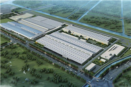 建材廠(chǎng)10噸燃?xì)饫淠仩t案例